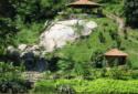 Brahmaputra-Jungle Resort