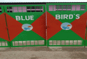 Blue Birds’ English School Pre School in Beharbari Guwahati